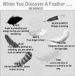 Meanings of Finding Different Coloured Feathers in Nature