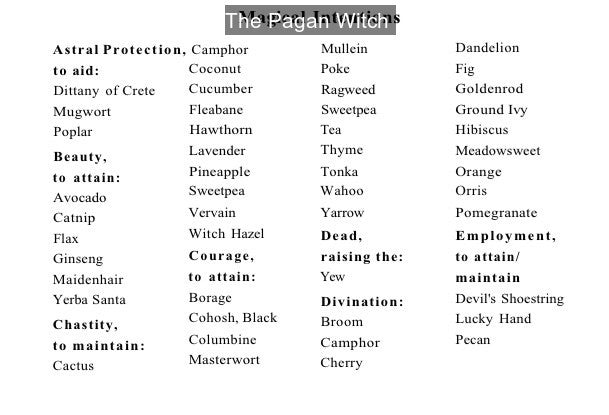 #kitchenwitch #kitchenwitchcraft #witchcraft #seawitch #cosmicwitch #technowitch #spells #herbs #magic #wicca #wiccan #paganwicca #wiccaforbeginners #reference #ref #writingref #writingreference