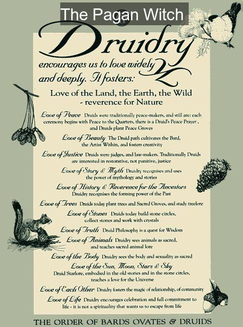 Druidry....celebrating the interconnectedness of us all, and of the world around us....