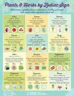 Plants and Herbs for Your Zodiac Sign | Witches Of The Craft®