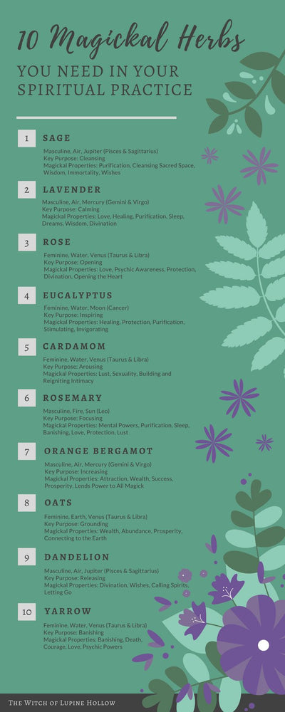 10 Magickal Herbs You Need In Your Practice - essential herbs and flowers for witchcraft
