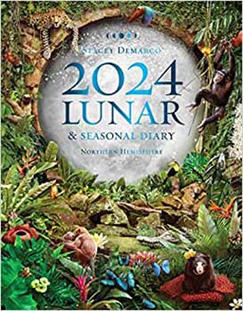 
            
                Load image into Gallery viewer, 2024 Lunar &amp;amp; Seasonal Diary by Stacey Demarco
            
        