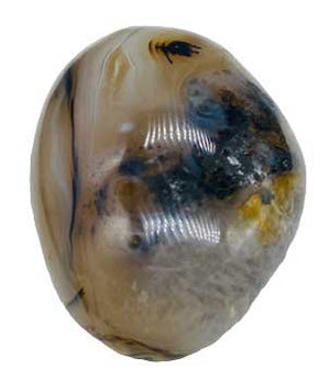 
            
                Load image into Gallery viewer, Agate, Dendritic palm stone
            
        