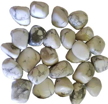 
            
                Load image into Gallery viewer, 1 lb Howlite, White tumbled stones
            
        