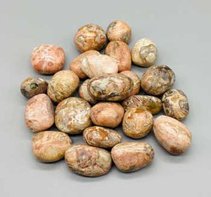 
            
                Load image into Gallery viewer, 1 lb Jasper, Picasso tumbled stones
            
        