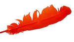 Orange feather 12"