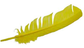 (set of 10) Yellow feather 12"