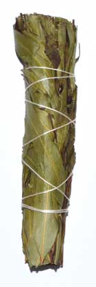 
            
                Load image into Gallery viewer, 4&amp;quot; Eucalyptus Citridora smudge stick
            
        